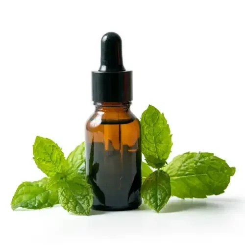 Menthol, mint & essentials oils